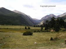 Enlarge photo 53