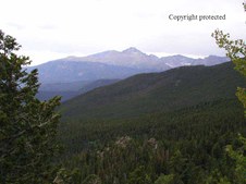 Enlarge photo 54