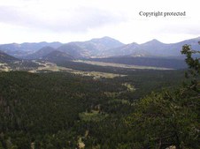 Enlarge photo 55
