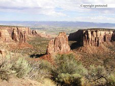 Enlarge photo 61