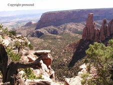 Enlarge photo 63