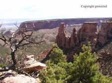 Enlarge photo 70