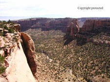 Enlarge photo 71