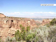 Enlarge photo 77
