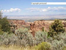 Enlarge photo 78