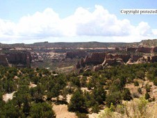 Enlarge photo 81