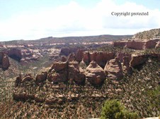 Enlarge photo 82