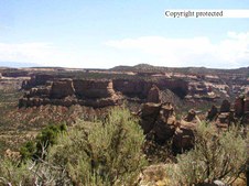 Enlarge photo 83