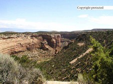 Enlarge photo 84
