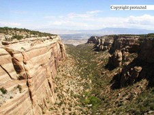 Enlarge photo 86