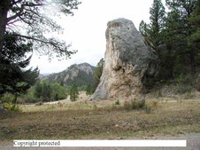 Enlarge photo 90
