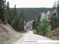 Enlarge photo 92