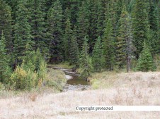 Enlarge photo 93