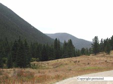 Enlarge photo 94