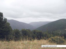 Enlarge photo 97