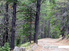 Enlarge photo 98