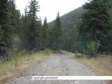 Enlarge photo 99