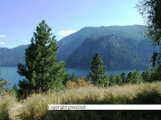 Enlarge photo 100
