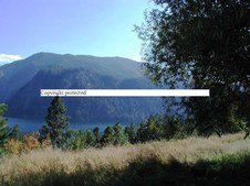 Enlarge photo 101