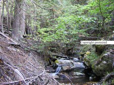 Enlarge photo 103
