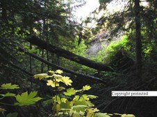 Enlarge photo 104