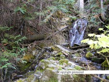 Enlarge photo 105