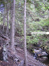 Enlarge photo 106