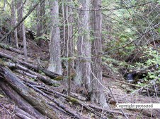 Enlarge photo 107