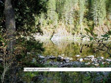 Enlarge photo 112