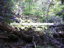 Enlarge photo 113