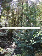 Enlarge photo 114