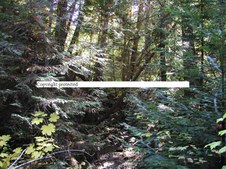 Enlarge photo 115