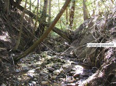 Enlarge photo 116