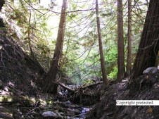 Enlarge photo 118