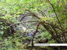 Enlarge photo 119
