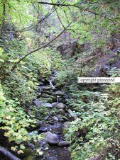 Enlarge photo 120