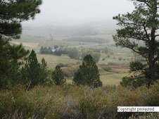 Enlarge photo 122