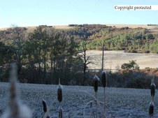 Enlarge photo 123