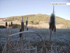 Enlarge photo 124