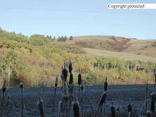 Enlarge photo 125