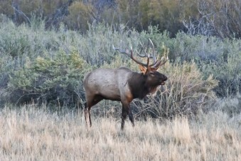 Enlarge photo 30