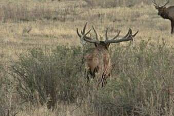 Enlarge photo 35