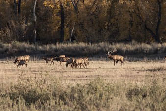 Enlarge photo 38