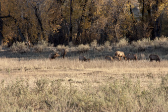 Enlarge photo 39