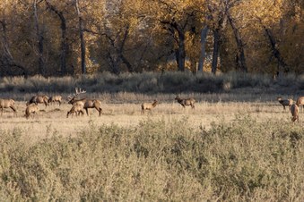 Enlarge photo 40