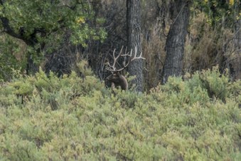 Enlarge photo 49