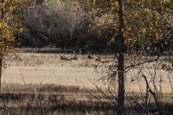 Enlarge photo 66