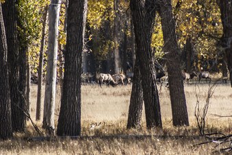 Enlarge photo 67