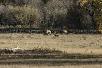 Enlarge photo 68