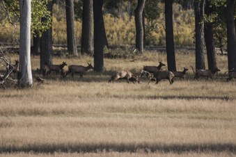 Enlarge photo 78